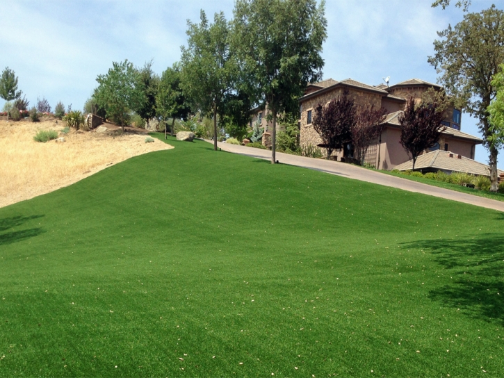 Fake Lawn Breckenridge, Colorado Landscape Design, Front Yard Design