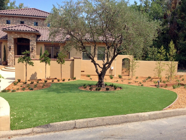 Fake Lawn Cascade-Chipita Park, Colorado Design Ideas, Front Yard