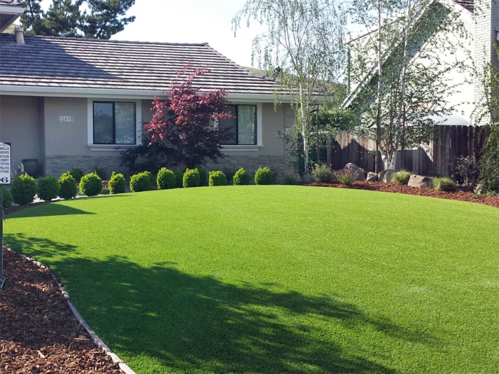 Fake Lawn Dillon, Colorado Gardeners, Front Yard Landscaping Ideas