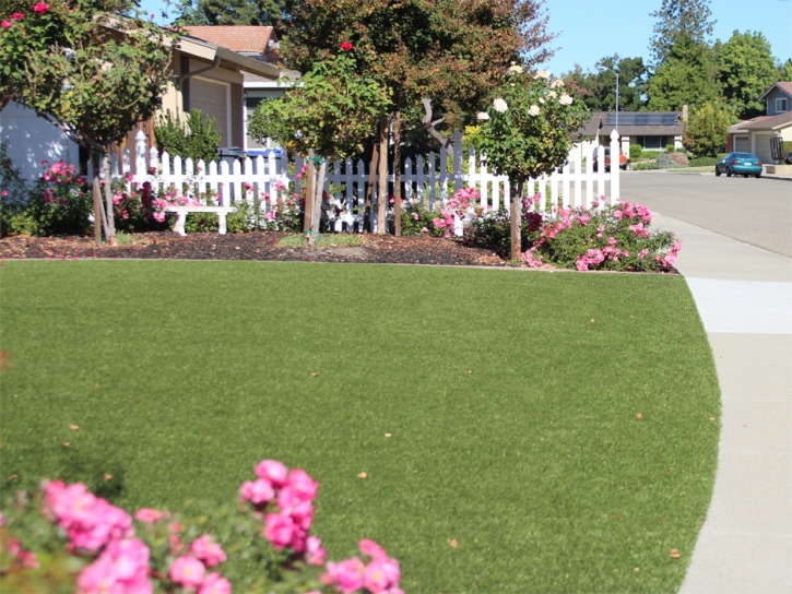 Fake Lawn Dolores, Colorado Rooftop, Small Front Yard Landscaping