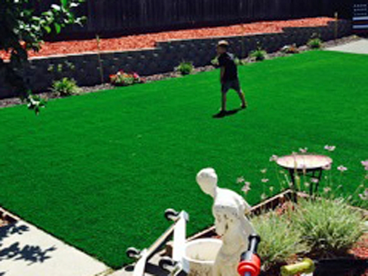 Fake Lawn Eads, Colorado Lawn And Garden, Beautiful Backyards