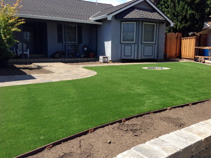 Fake Lawn Elbert, Colorado Landscaping Business, Landscaping Ideas For Front Yard