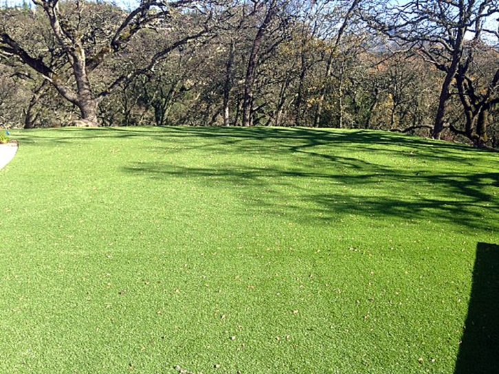 Fake Lawn Iliff, Colorado City Landscape, Parks