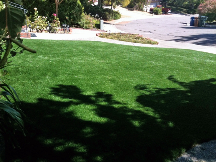 Fake Lawn Louviers, Colorado Landscape Ideas, Front Yard