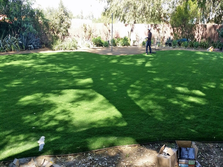 Fake Lawn Portland, Colorado Paver Patio, Small Backyard Ideas