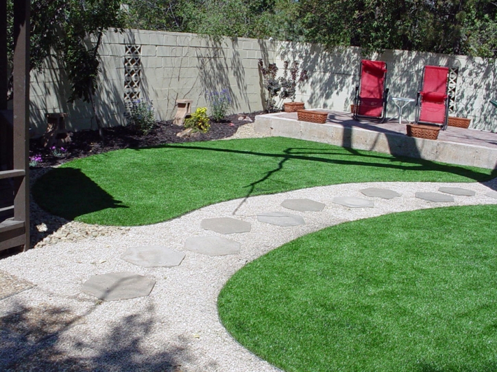 Fake Lawn Vail, Colorado Lawn And Garden, Backyard Design