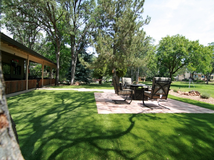 Fake Lawn Valmont, Colorado Roof Top, Beautiful Backyards