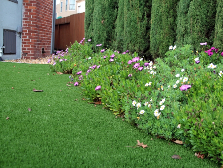 Fake Lawn Walden, Colorado Backyard Playground, Front Yard Design