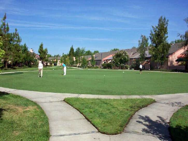 Fake Turf Aguilar, Colorado Design Ideas, Commercial Landscape