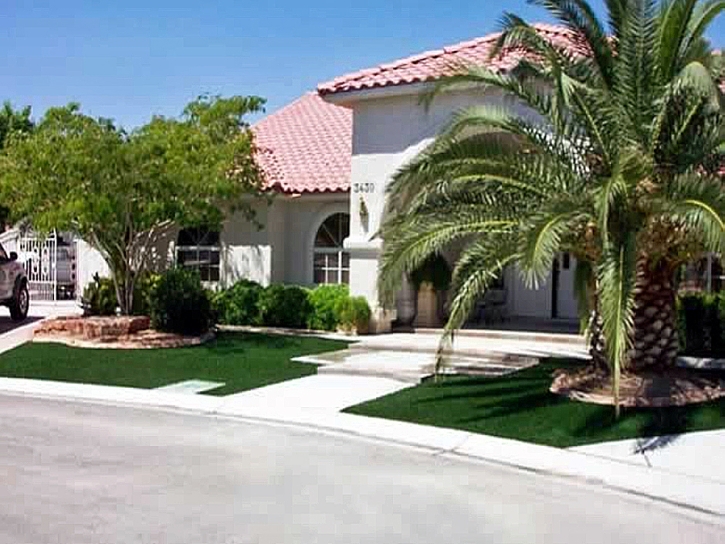 Fake Turf Buena Vista, Colorado Paver Patio, Front Yard Landscaping