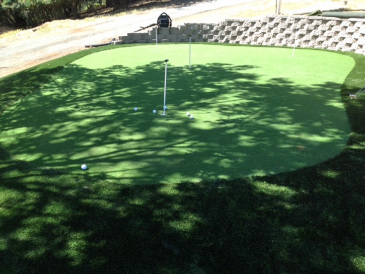 Fake Turf Carriage Club, Colorado Putting Green Carpet, Backyard Landscaping Ideas