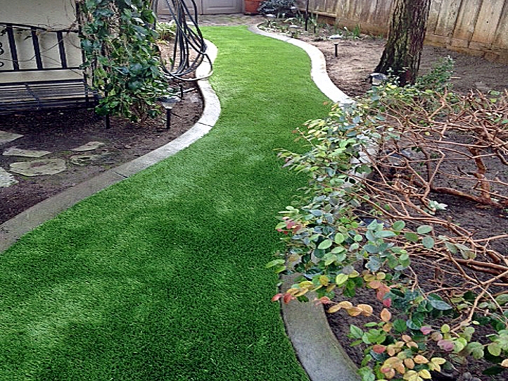 Fake Turf Cattle Creek, Colorado Backyard Playground, Backyard Design