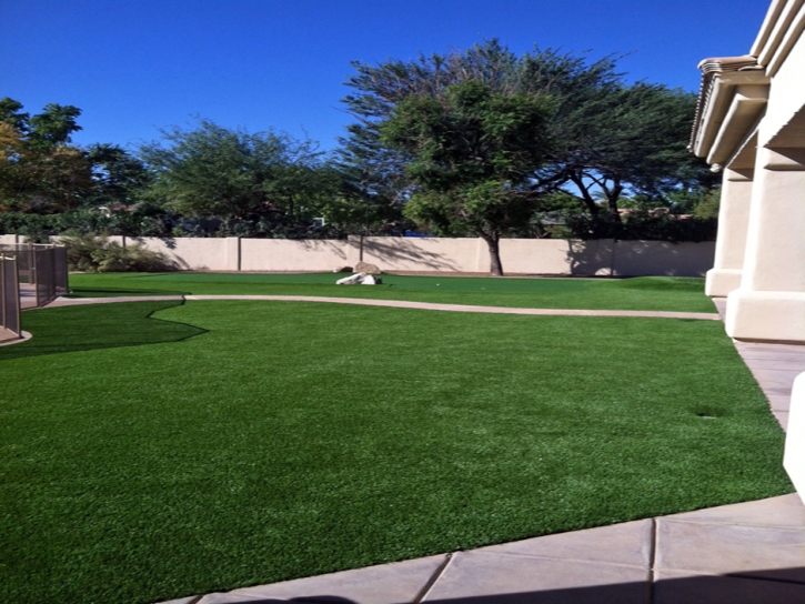 Fake Turf Fraser, Colorado Backyard Playground, Front Yard Ideas