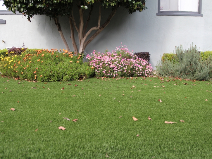 Fake Turf Haxtun, Colorado Garden Ideas, Landscaping Ideas For Front Yard