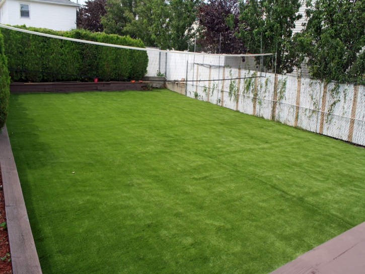 Fake Turf Hillrose, Colorado Design Ideas, Backyard