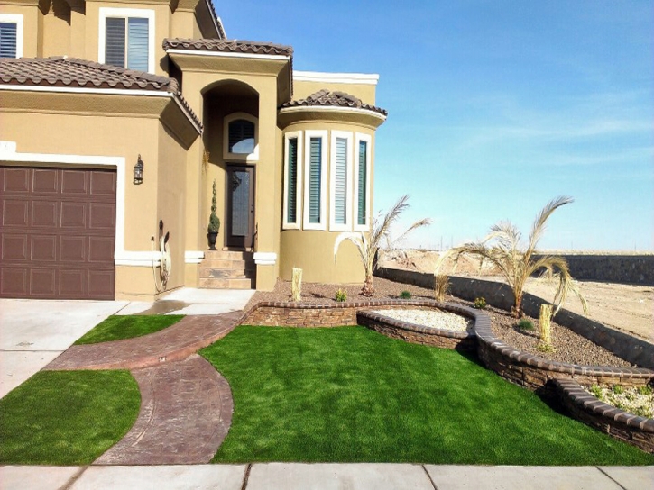 Fake Turf Louviers, Colorado Landscaping, Front Yard Ideas