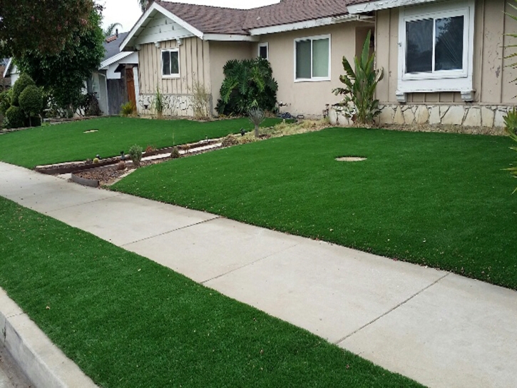 Fake Turf Manassa, Colorado Landscape Design, Front Yard Landscaping Ideas