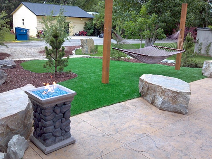 Fake Turf Redstone, Colorado Lawn And Garden, Front Yard Landscape Ideas