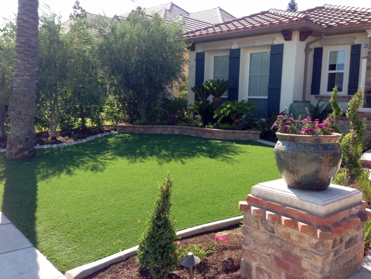 Fake Turf Westcreek, Colorado Garden Ideas, Front Yard Landscaping Ideas