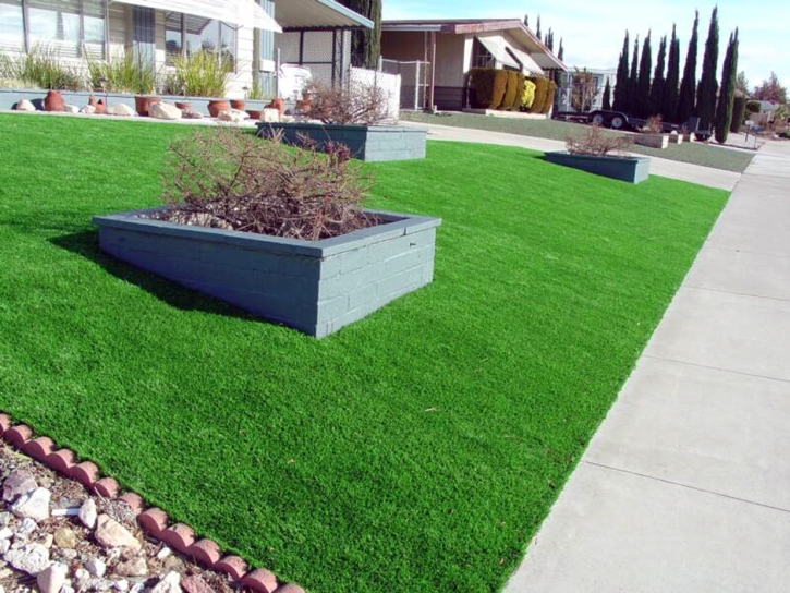 Faux Grass Avondale, Colorado Lawn And Landscape, Front Yard Landscaping