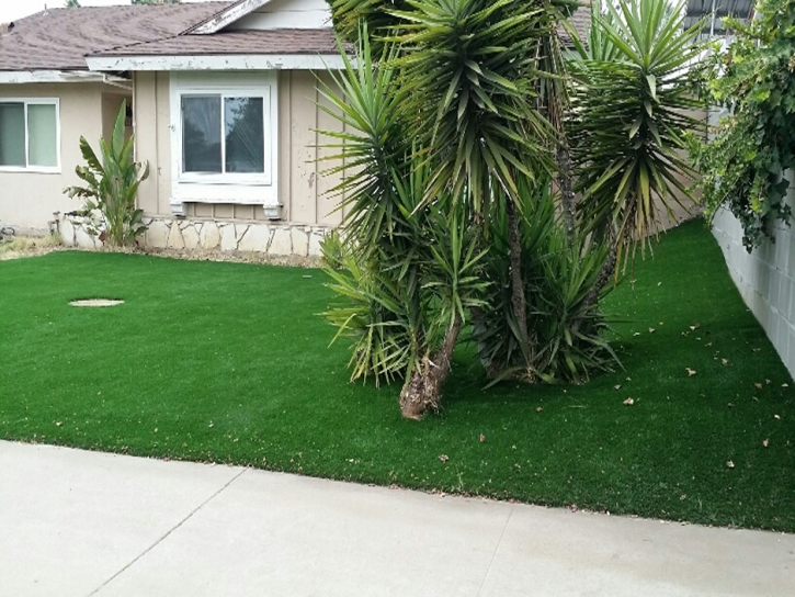 Faux Grass Conejos, Colorado Landscape Ideas, Front Yard Design