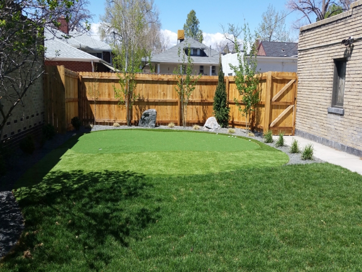 Faux Grass Elizabeth, Colorado Paver Patio, Backyard Ideas