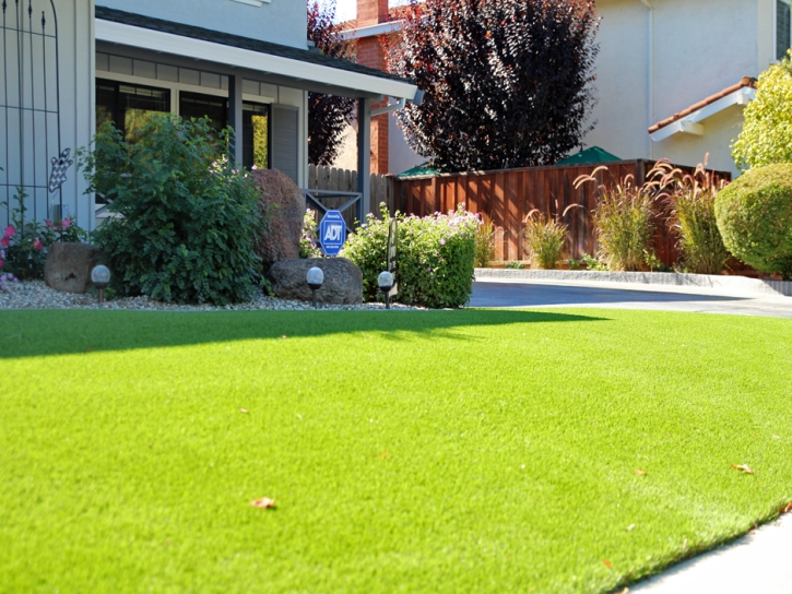 Faux Grass Glendale, Colorado Lawn And Landscape, Front Yard Landscaping Ideas