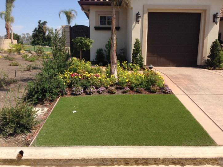 Faux Grass Glenwood Springs, Colorado Lawns, Front Yard Ideas