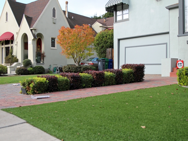 Faux Grass Manitou Springs, Colorado Lawn And Garden, Front Yard Landscape Ideas