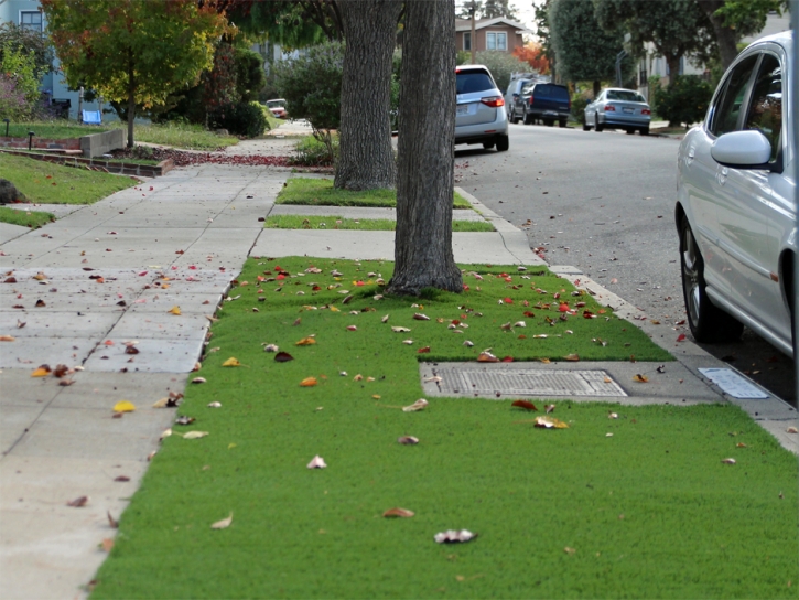 Faux Grass Parshall, Colorado Garden Ideas, Small Front Yard Landscaping