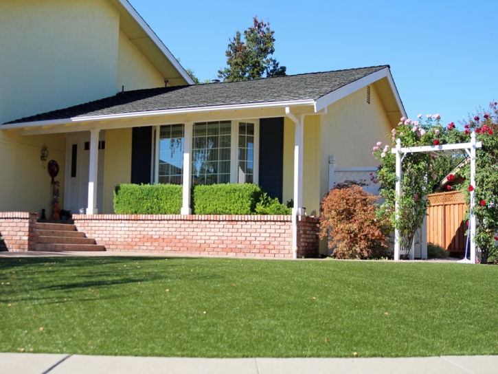 Faux Grass Peetz, Colorado Landscape Ideas, Front Yard Landscaping Ideas