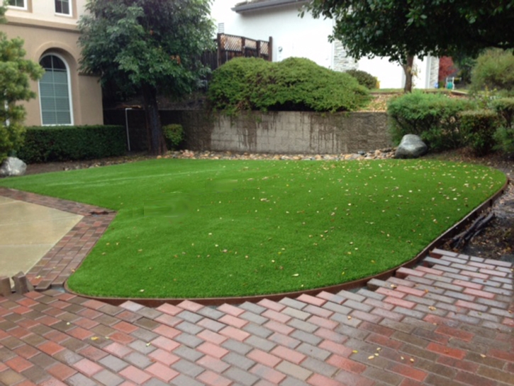 Faux Grass Windsor, Colorado Lawns, Front Yard Landscape Ideas