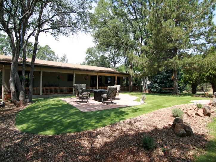 Grass Carpet Aspen Park, Colorado Rooftop, Beautiful Backyards