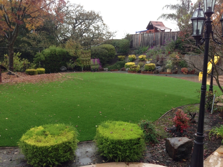 Grass Carpet Aspen Park, Colorado Landscaping Business, Backyard Ideas