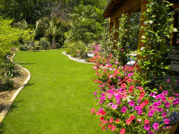 Grass Carpet Delta, Colorado City Landscape, Backyard Makeover