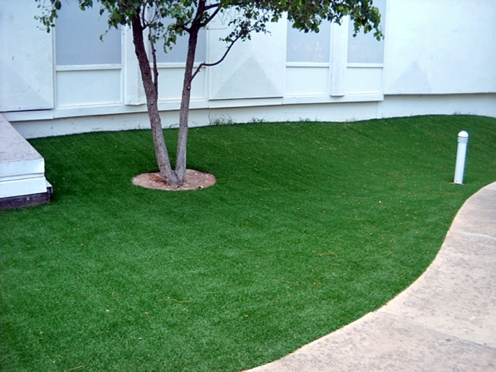 Grass Carpet Eldorado Springs, Colorado Design Ideas, Commercial Landscape