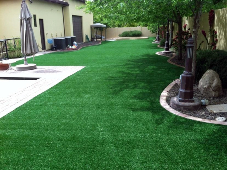 Grass Carpet Flagler, Colorado Garden Ideas, Backyard Landscaping Ideas