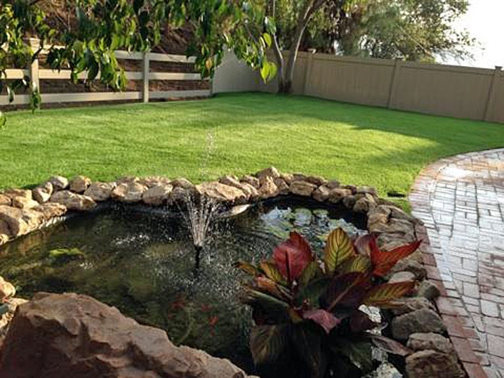 Grass Carpet Fort Carson, Colorado Roof Top, Backyard Garden Ideas