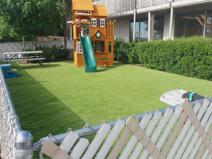 Grass Carpet Haswell, Colorado Roof Top, Backyard Designs