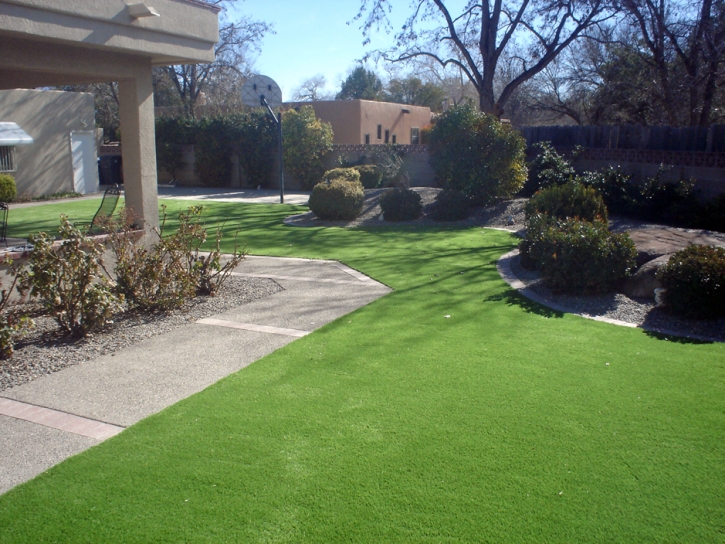 Grass Carpet Kittredge, Colorado Lawn And Landscape, Front Yard Landscaping