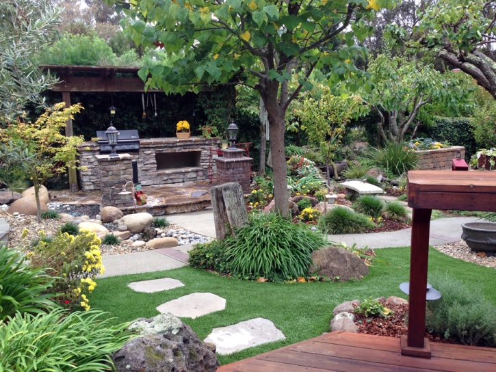 Grass Carpet Niwot, Colorado Gardeners, Backyard Landscaping Ideas