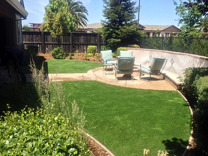 Grass Carpet Saint Ann Highlands, Colorado Landscape Design, Backyard Landscape Ideas