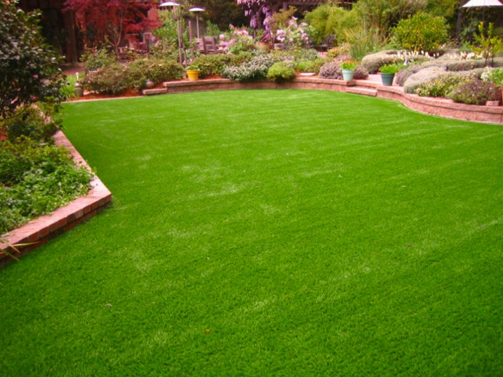 Grass Carpet Sanford, Colorado Lawns, Backyard Designs