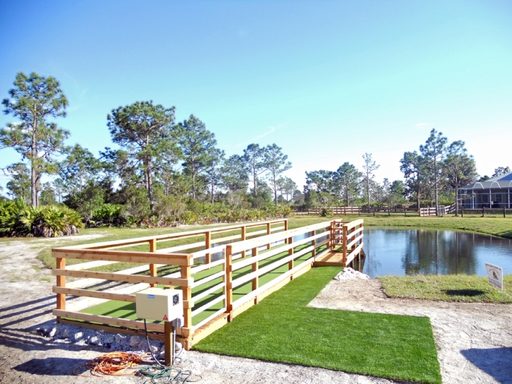 Grass Carpet Silver Cliff, Colorado Landscaping, Backyard Ideas