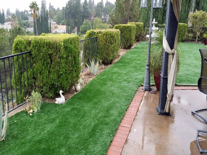 Grass Carpet Starkville, Colorado Rooftop, Backyard Landscaping