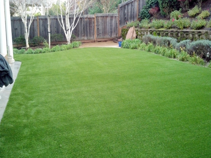 Grass Carpet Steamboat Springs, Colorado Garden Ideas, Backyard Designs