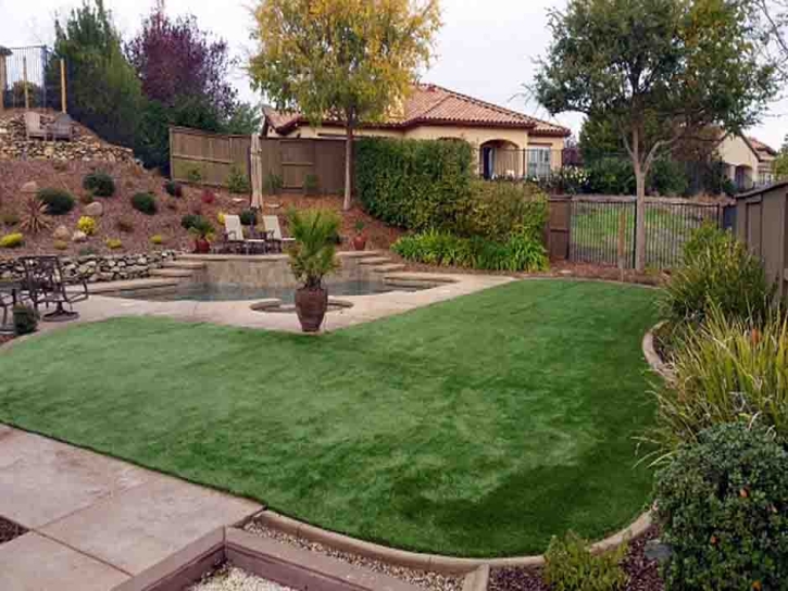 Grass Installation Arriba, Colorado Landscaping Business, Backyards