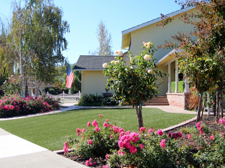 Grass Installation Norwood, Colorado Backyard Playground, Small Front Yard Landscaping