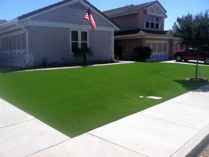 Grass Turf Alma, Colorado Lawns, Front Yard Ideas