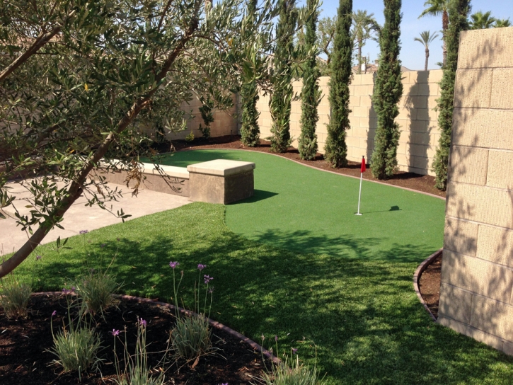 Grass Turf Arboles, Colorado Diy Putting Green, Backyard Landscaping Ideas